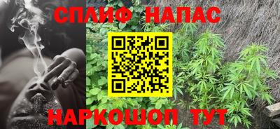 гашик Бузулук